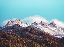 费纳领衔球员工会德约缺席 ATP分裂恐愈演愈烈