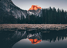 费纳领衔球员工会德约缺席 ATP分裂恐愈演愈烈